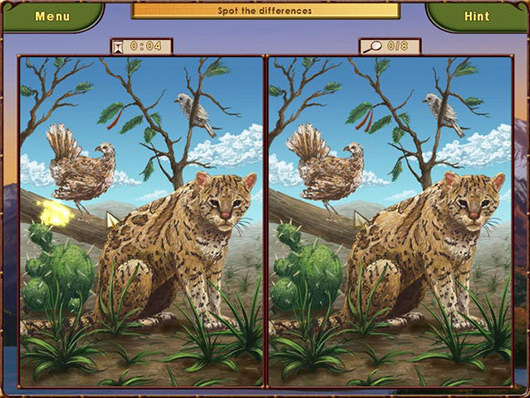 World Riddles: Animals